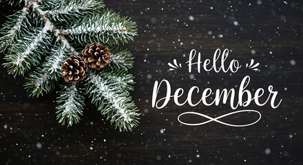 Hello December festive greeting with evergreen branch and snow flurry