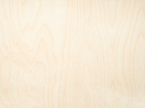 surface of natural birch plywood board