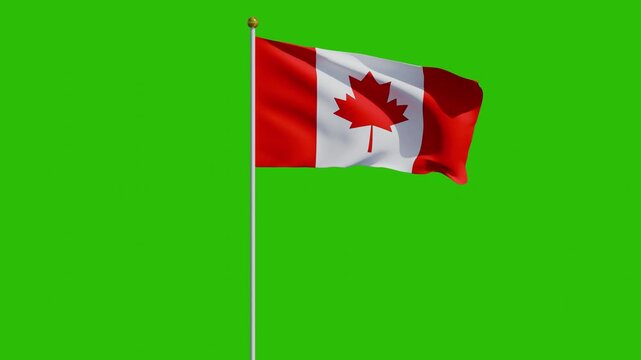 Canada flag animation with green screen background 4k waving flag footage with a pole