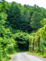 dirty road in forest on Sameba Mount near Batumi