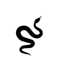 black and white snake