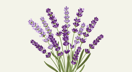 Obraz premium Charming lavender blooms bouquet in an elegant design, floral essence