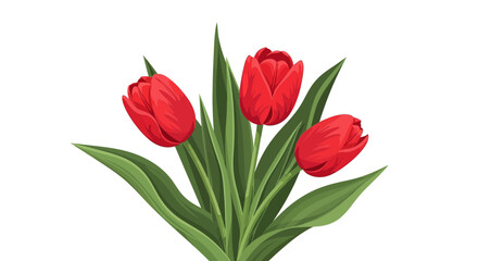 Obraz premium Vibrant Red Tulips Bouquet on White Background for Floral Designs
