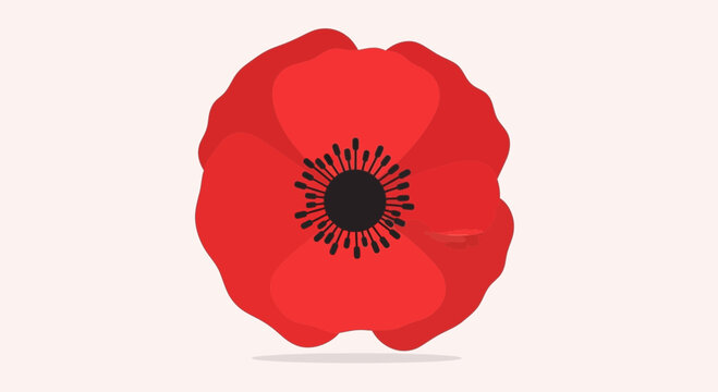 Vibrant Red Poppy Flower Illustration with Delicate Petals and Dark Center
