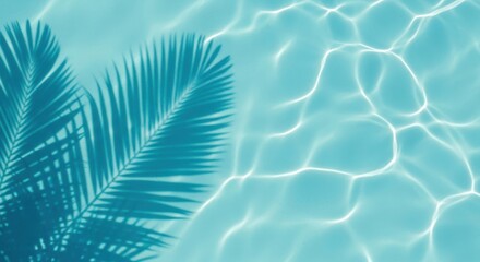 The mesmerizing play of light and shadow on the surface of clear turquoise water, with the silhouette of a palm frond casting intricate patterns