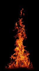 Orange red hot fire flames isolated on black background. Dangerous red bonfire close up. Beautiful yellow light dance closeup. Open fiery abstract texture. Flamethrower. Vertical.