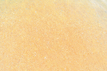 A sandy seabed that can be described as mottled or uneven in color.
Yellow sand underwater in shallow waters with varying shades.