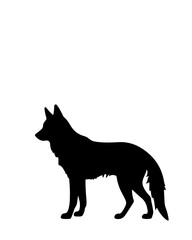 wolf vector illustration animal, dog, silhouette, mammal, wolf, wild, illustration, black, nature, white, isolated, pet, wildlife, predator, icon, farm