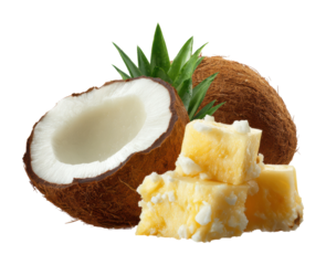 Coconut and butter chunks tropical food fresh isolated on transparent background