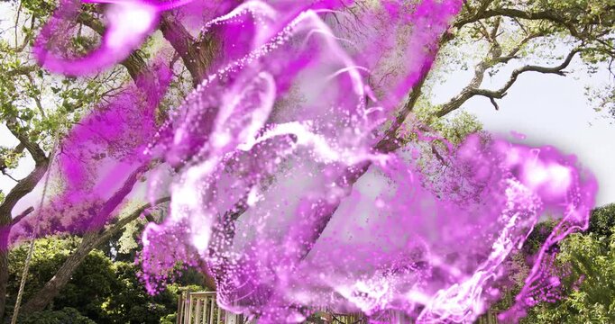 Magenta ribbon appearing over oak crown growing into swirling cloud cascading creating curtain veil
