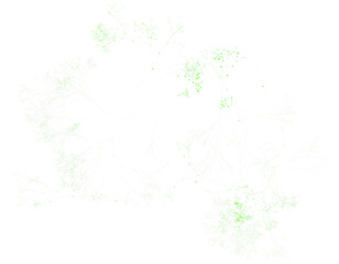 Luminous Green Fractal Tree Branches Isolated on Transparent Backdrop, Detailed Generative Art