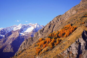 LES DEUX ALPES en automne