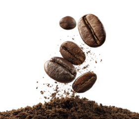Coffee beans rising above ground kitchen bright isolated on transparent background