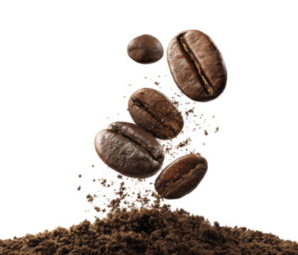 Coffee beans rising above ground kitchen bright isolated on transparent background