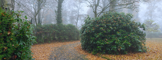 Morgenstimmung im Park, Nebel und Laub mit Weg im November