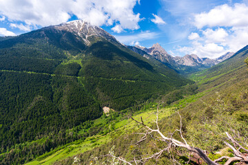 Panoramic mountain view with green meadows, forests, and snow peaks under a bright sky with scattered clouds. Vast mountain landscape with green forests, rugged peaks, and a bright blue sky.