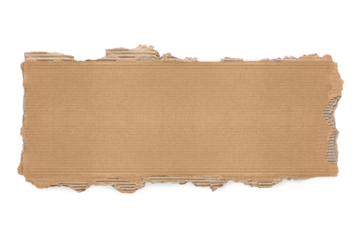 Torn cardboard background on Transparent Background png
