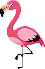 Pink flamingo cartoon, standing bird illustration, tropical wildlife vector, cute animal art, kids design, nature clipart, educational graphics, isolated