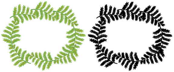 Green fern wreath frame on black background