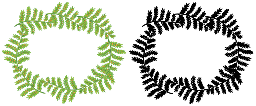 Green fern wreath frame on black background