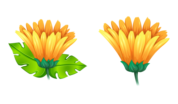 Vibrant orange flowers with tropical green leaves