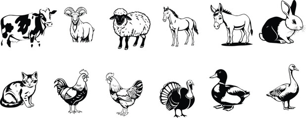 Assortment of farm animals including cow, sheep, horse, donkey, rabbit, cat, chicken, turkey, duck, and goose on transparent background