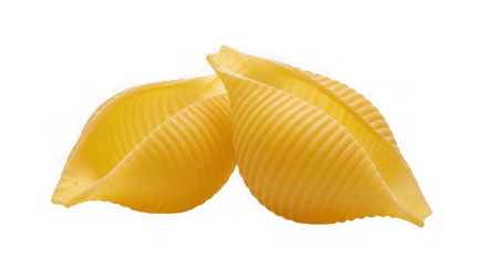 Two pieces of raw conchiglie pasta