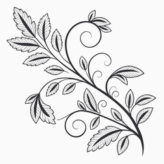 Obraz premium Elegant black and white line art illustration of a swirling vine with detailed leaves and delicate curls on a white background