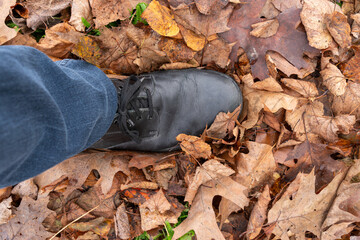 Male leg with black show and jeans is standing on autumn foliage, with some green green plants still looking through.