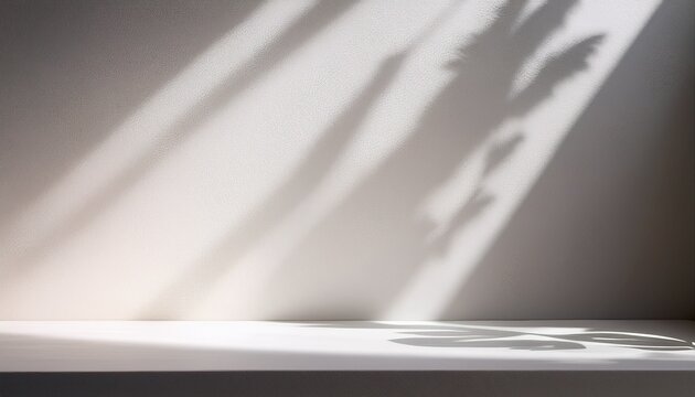 abstract white background with a window shadow and sunlight for product presentation mockup - Powered by Adobe