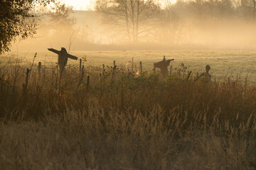 Strachy na ptaki stojące na porannej, zamglonej łące o świcie. Delikatna mgła i miękkie światło tworzą tajemniczą atmosferę, podkreślając sylwetki figur na tle spokojnego krajobrazu. © Elżbieta Kaps
