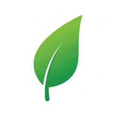 Eco leaf symbol vector illustration isolated on white