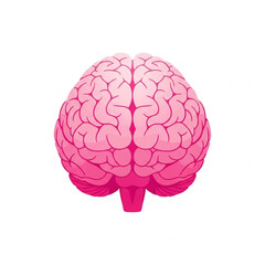 Human brain vector illustration isolated