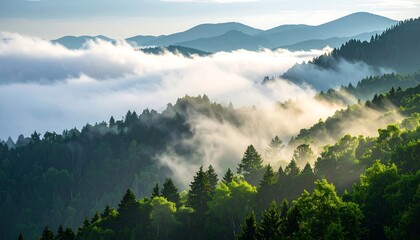 Fog rolling over lush green hills at sunrise