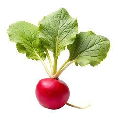 Radish vegetables image isolated on a transparent