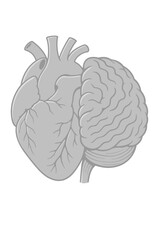 Heart and Brain Connection Concept Illustration Emotional Intelligence Design