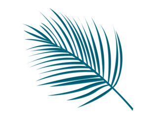 Tropical blue palm leaf on black background