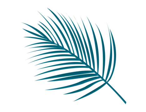 Tropical blue palm leaf on black background
