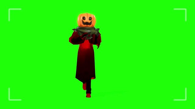 Pumpkin horror front walking motion with green screen background or chroma key