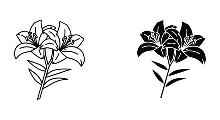 Stylized lily flower outline and silhouette vector, minimalist botanical design.