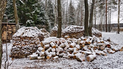 Logs sawn into decks and wood piles from chopped firewood after sanitary cutting lie on the ground among the trees. They are designed for heating houses. Everything is covered with snow. Cloudy winter