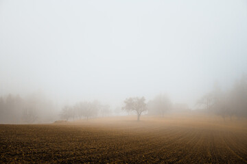 Foggy landscape in autumn, country side