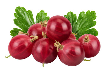 Red gooseberry isolated on white background with full depth of field.