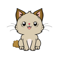 cat  animal illustration