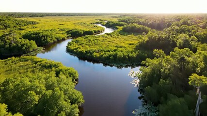 River meanders through lush green forest, creating serene atmosphere perfect for use cases related to wellness, outdoor activities, or environmental initiatives, featuring stunning 4K UHD.