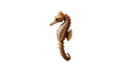 A seahorse on a white background. It is ideal for illustrations, logos and designs related to the ocean and marine life.