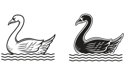 Swans On The Lake Vector Illustration - Line Art and Silhouette 