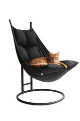 Cat on Black Hammock Chair (Transparent Background)