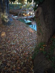 A peaceful autumn path with fallen leaves and a small bridge over a stream, framed by trees.
