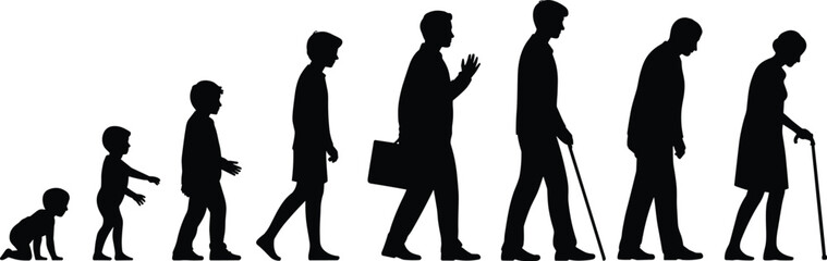 Human life cycle silhouette, growth from baby to elderly stages, aging progression illustration showing development, lifespan timeline and evolution